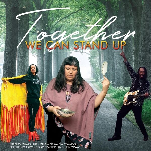 Cover art for Together We Can Stand Up